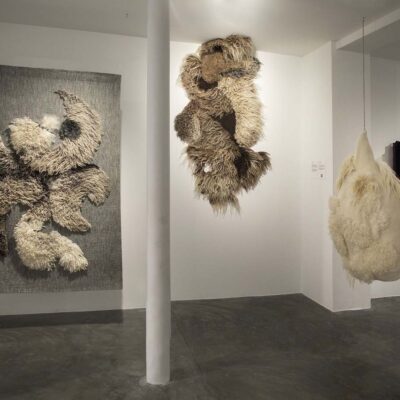 Slow wool design